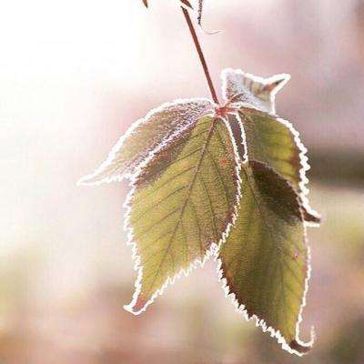 best365官网手机版